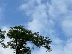 -红花山公园