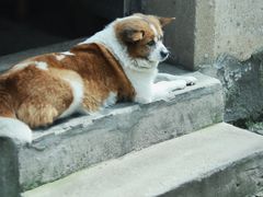 -崇仁古镇