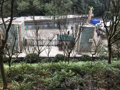 -大金鹰园
