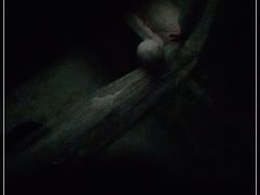 -温州一家人美食(西木头市店)