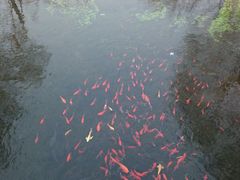 -水磨沟公园