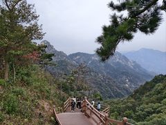-沂蒙山旅游区云蒙景区(蒙山国家森林公园)