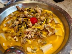 酸汤豆腐花牛蛙-海岛八号龙虾烧烤田鸡(蓝天路总店)