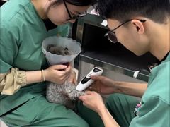 -派美特宠物医院·核磁CT·骨科肿瘤·疑难转诊(沈农禾丰店)