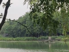 -长广溪湿地公园