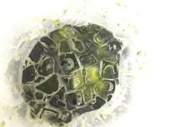 泰绿柠檬茶-曼僖瓦罐咖啡(华山南路店)