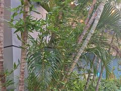 -CIAO·团建聚餐·生日派对轰趴馆(福田店)