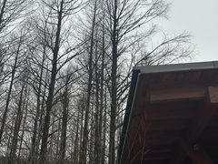 -山王坪喀斯特国家生态公园