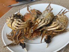 -视界美食自助餐厅·石家庄希尔顿酒店