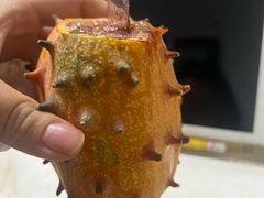 -厦门邮轮中心厦鼓码头(轮渡站)