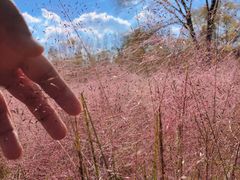 -沈阳植物园