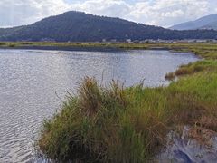 -腾冲北海湿地