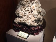 -磐安舞龙峡景区