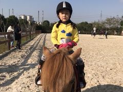 -松声马术俱乐部