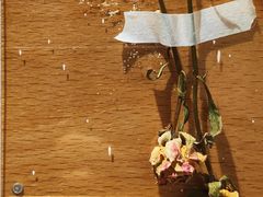 -素咫咖啡CLIFEROSE(新安店)