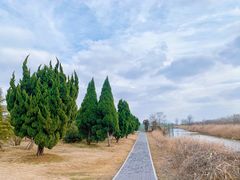 -盐城丹顶鹤湿地生态旅游区