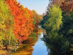 -上海长兴岛郊野公园