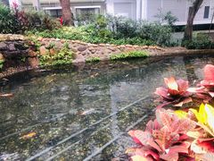 -香港大学