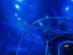 -威海华夏城景区