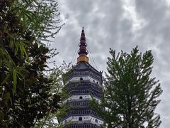 -迎江寺