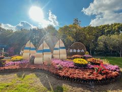 -上海共青森林公园