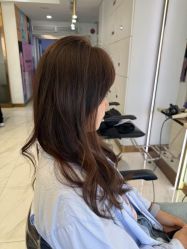 -镁连社·美联社