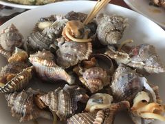 -南蚝小贝海鲜特色餐厅(南澳岛店)