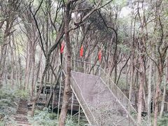 -富春桃源风景区
