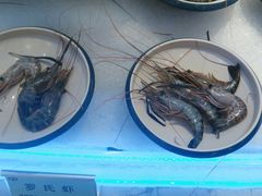 -澜悦港海鲜体验主题餐厅