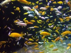 -成都浩海立方海洋公园