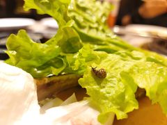 -火炉火自助餐(喜隆多店)