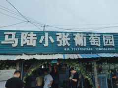 -马陆小张葡萄园农家乐