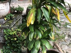 -云水谣景区-土楼之光文化园