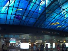 -捷运美丽岛站(The Dome of Light)