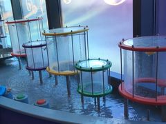 -中国宋庆龄青少年科技文化交流中心