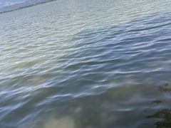 -西昌邛海湿地