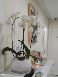 -海涛医疗美容·面部抗衰·注射美鼻