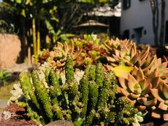 -悦哉·派对·草坪婚礼·围炉煮茶(三圣乡店)
