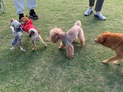 -上海海湾国家森林公园