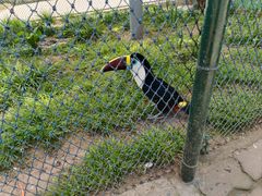 -西霞口神雕山野生动物世界