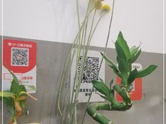 -原田新料理(1912店)