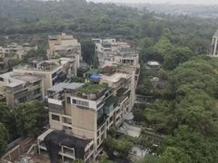 -成都保利公园皇冠假日酒店(熊猫基地店)
