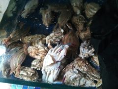 -雅逸居海鲜小厨