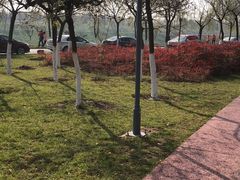 -洨河生态公园