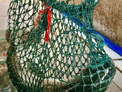 -鱼醉无骨鱼·中山脆肉鲩(荔湾路店)