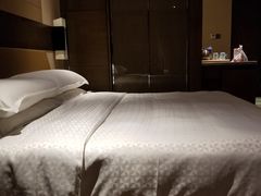 -扬州绿地铂骊酒店