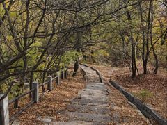-北山公园