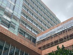 -香港大学