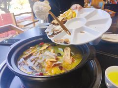 -野菌皇海景野生菌火锅(滨海大道店)