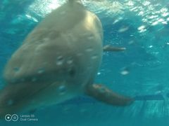 -波塞冬旅游度假区